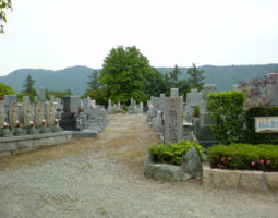 横山墓地