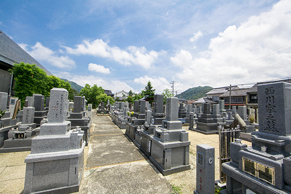 妙要寺墓地 イメージ2