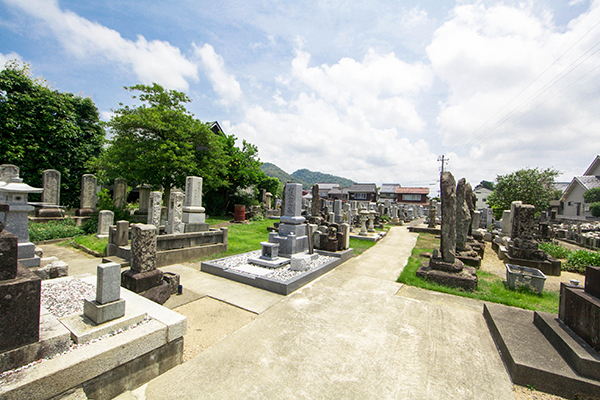 妙要寺墓地 イメージ3