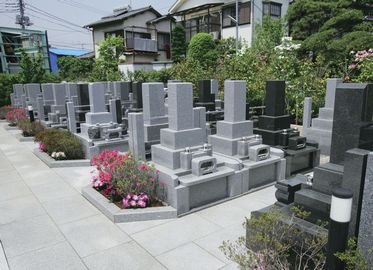 本高山 城立寺 （椿墓苑） イメージ1