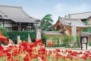 真言宗　正円寺