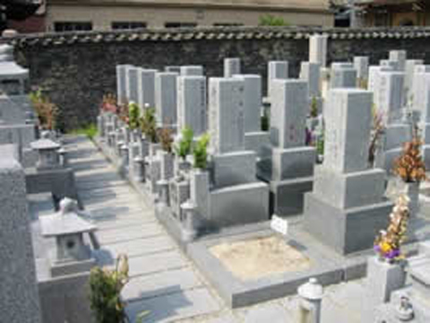 浄國寺墓地 イメージ1
