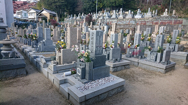 岡本西墓地 イメージ2