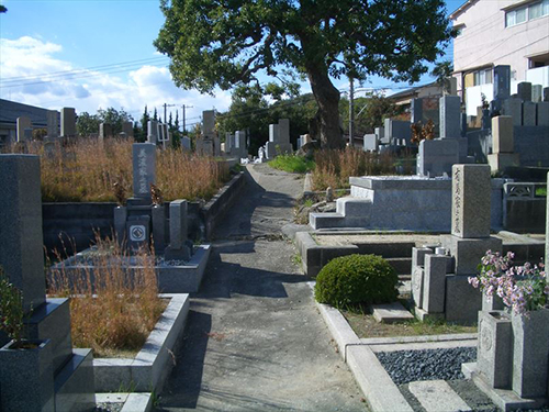高松墓地 イメージ3