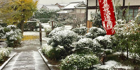 いちはら自然霊苑 （あまちゃ寺）法光寺墓苑 イメージ5