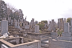 さいたま市営　善前墓地 イメージ2