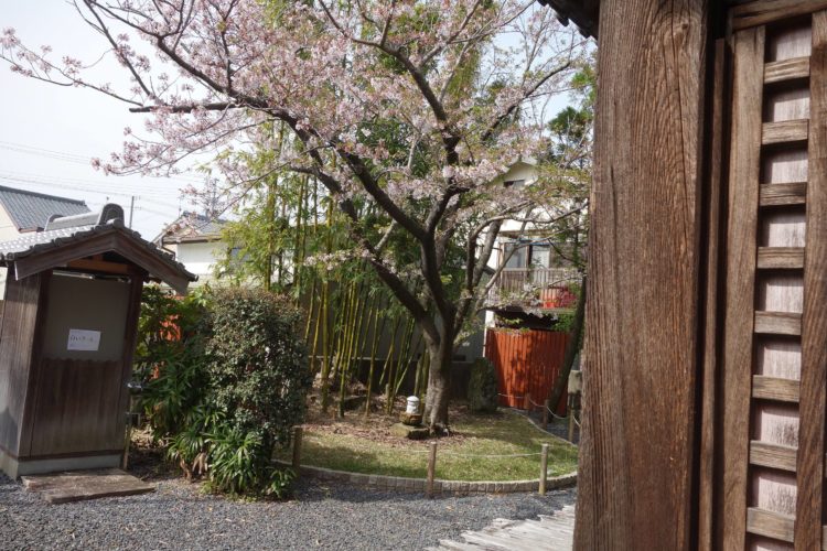 地蔵寺　樹木葬「桜雲」 イメージ3