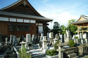 常福寺墓地 イメージ4