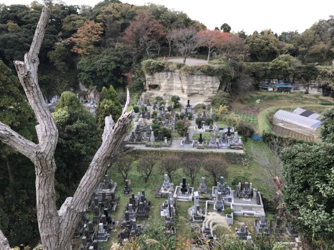 猿畠山　法性寺 イメージ1