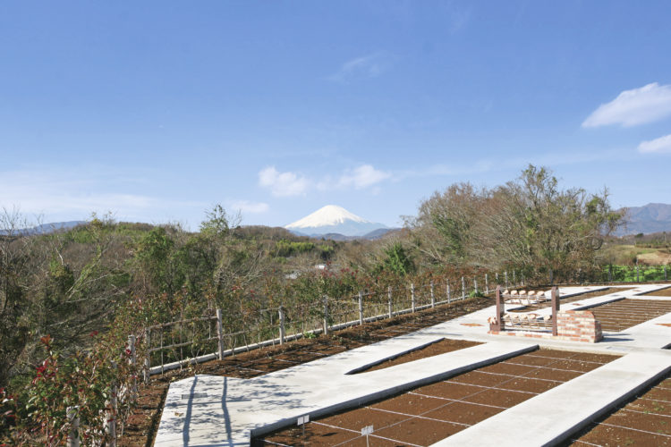 平塚霊園那由侘の丘 イメージ1