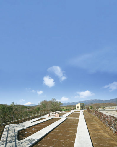 平塚霊園那由侘の丘 イメージ3
