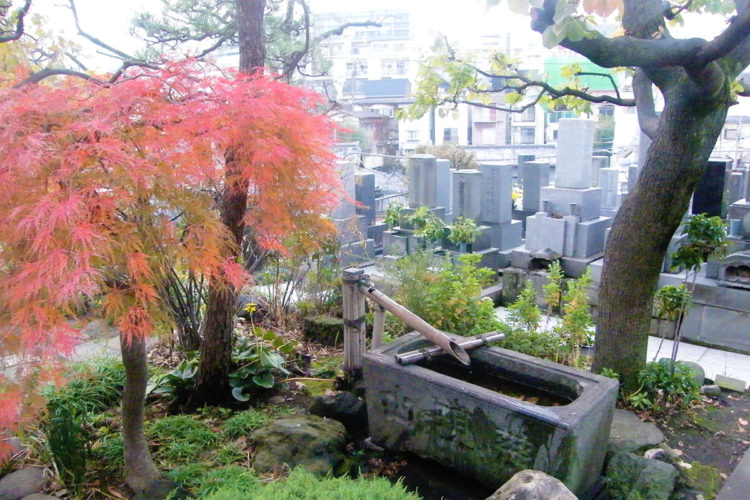 眞英寺（真英寺） イメージ5