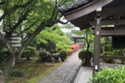 京都メモリアルパーク　樹木葬「椿」　永代供養墓