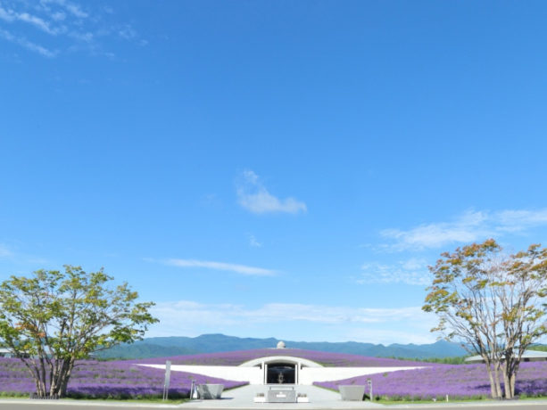 モアイや大仏 ラベンダーなどで話題 札幌の霊園事情をご紹介 霊園さがし