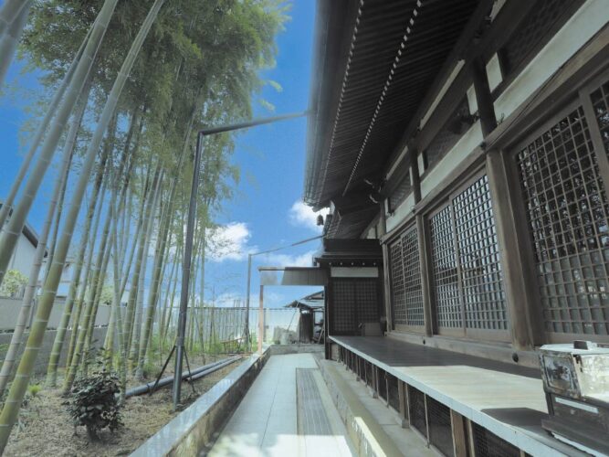 成城しだれ桜墓苑 イメージ4