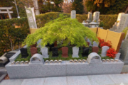 出雲よろこびの樹木葬　龍善寺