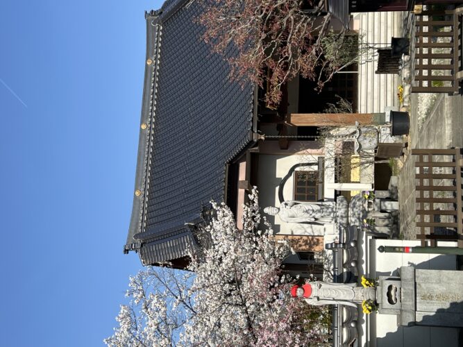 甲府よろこびの樹木葬 源光寺 イメージ4